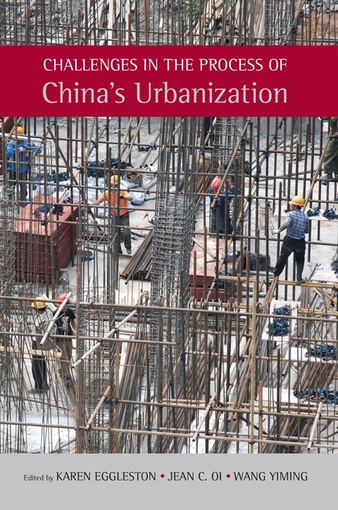 Cover image for book Challenges in the Process of China’s Urbanization