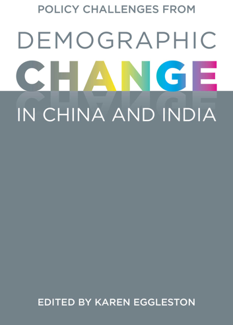 Cover image for book Policy Challenges from Demographic Change in China and India