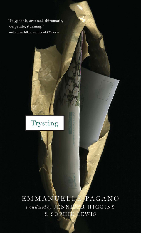 Cover image for book Trysting