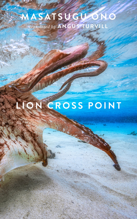 Cover image for book Lion Cross Point