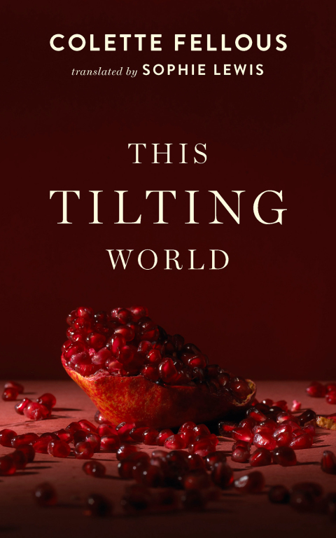 Cover image for book This Tilting World