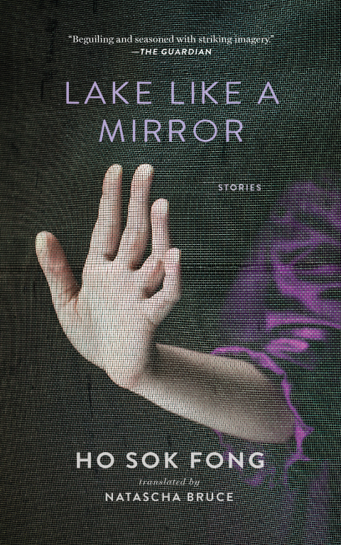 Cover image for book Lake Like a Mirror