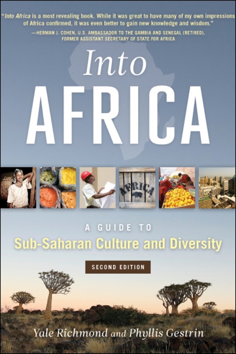 Cover image for book Into Africa