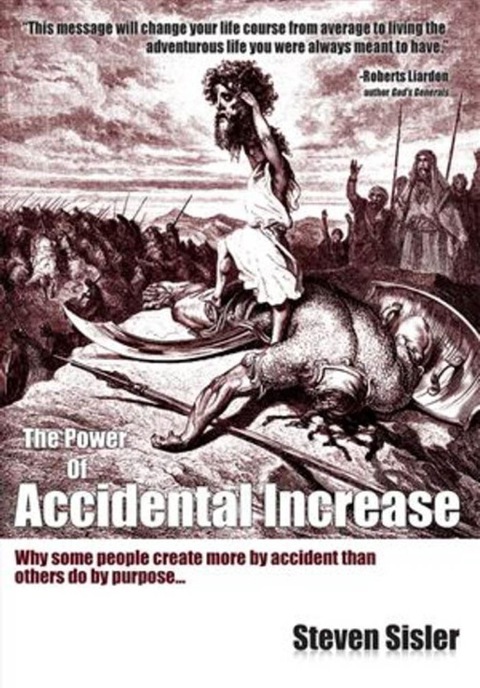 Cover image for book The Power of Accidental Increase