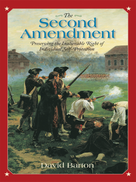 Cover image for book The Second Amendment