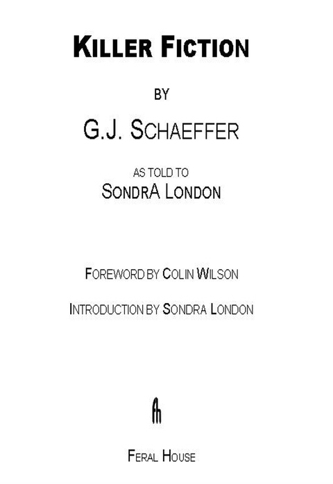 Cover image for book Killer Fiction