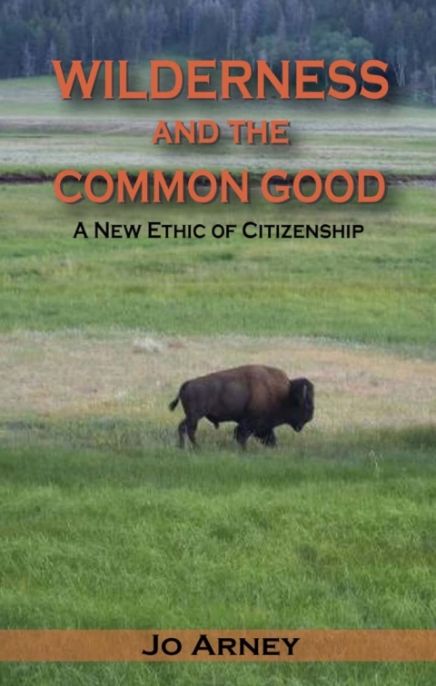 Cover image for book Wilderness and the Common Good
