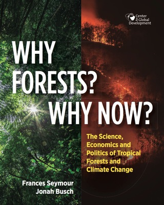 Why Forests? Why Now?