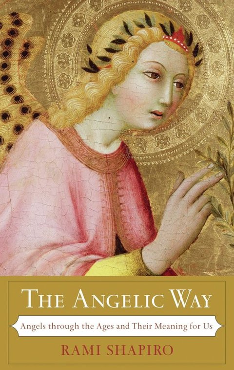 Cover image for book The Angelic Way