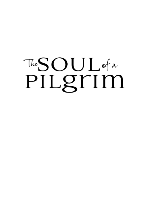 Cover image for book The Soul of a Pilgrim: Eight Practices for the Journey Within