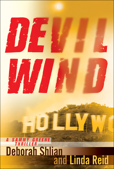 Cover image for book Devil Wind