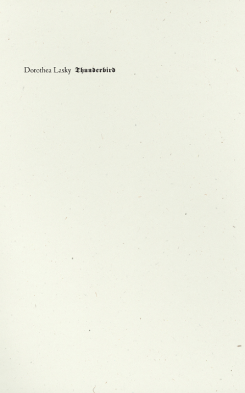 Cover image for book Thunderbird