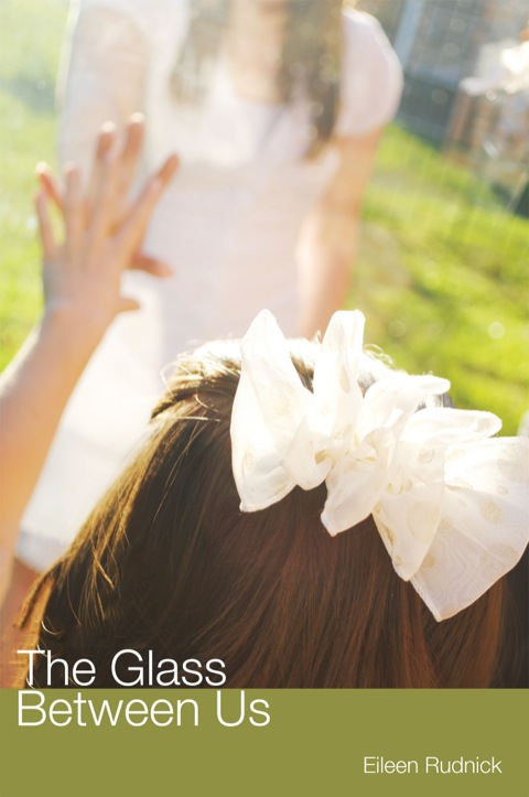 Cover image for book The Glass Between Us