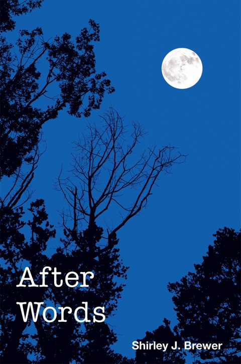 Cover image for book After Words