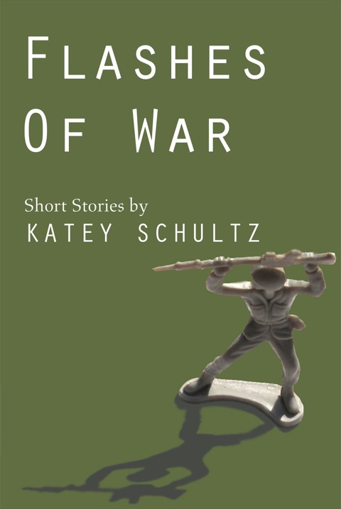 Cover image for book Flashes of War