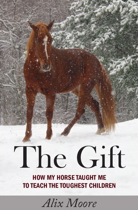 Cover image for book The Gift
