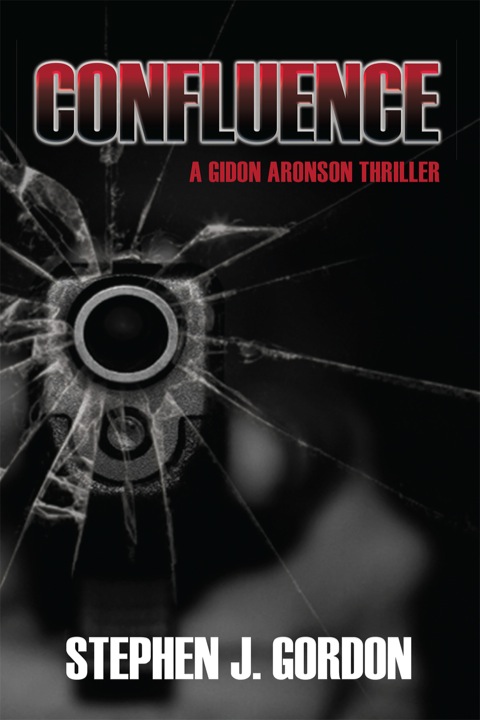Cover image for book Confluence