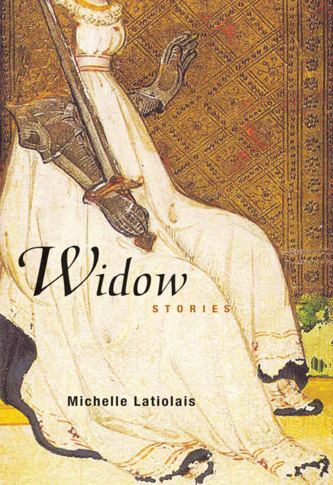 Cover image for book Widow