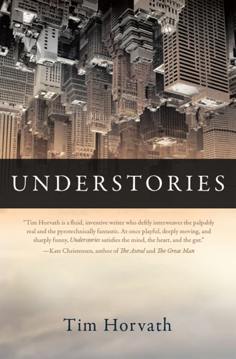 Cover image for book Understories