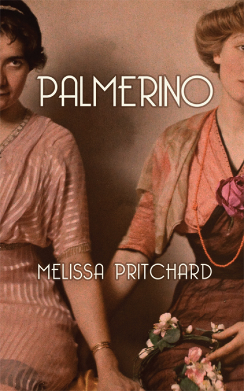 Cover image for book Palmerino