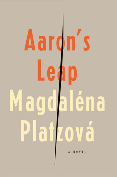 Cover image for book Aaron's Leap