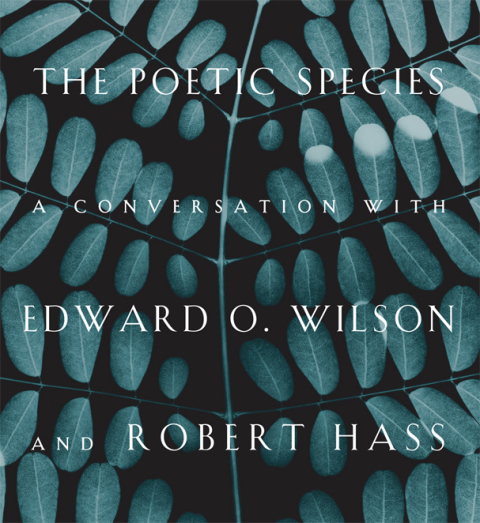 Cover image for book The Poetic Species