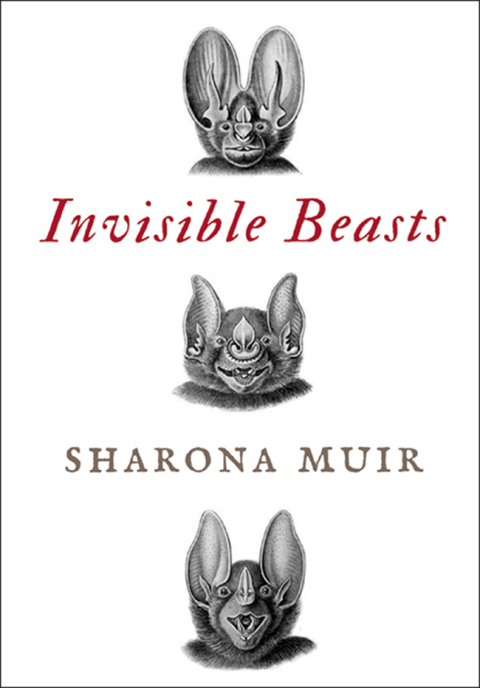 Cover image for book Invisible Beasts