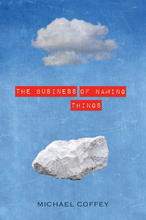 Cover image for book The Business of Naming Things