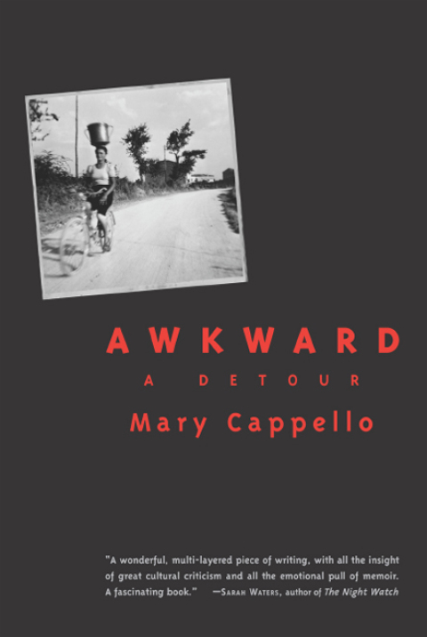 Cover image for book Awkward