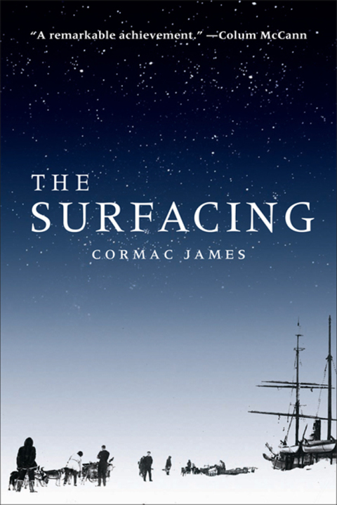 Cover image for book The Surfacing
