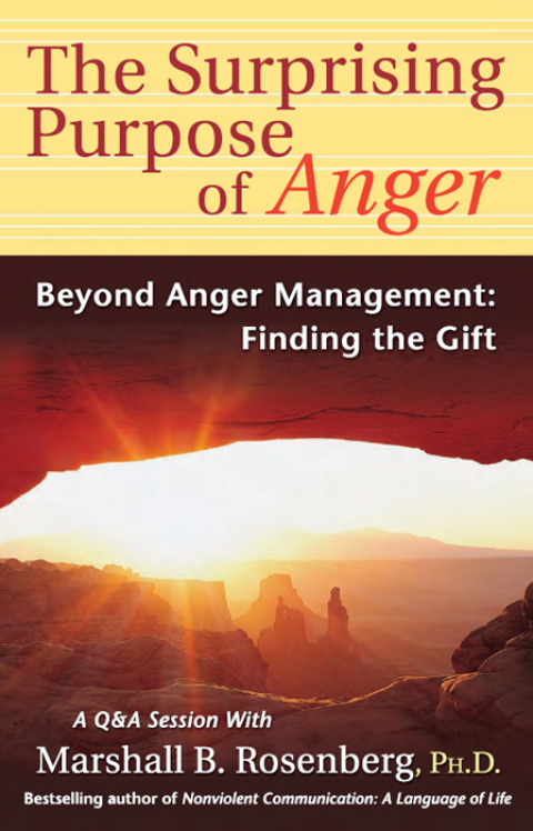 Cover image for book The Surprising Purpose of Anger