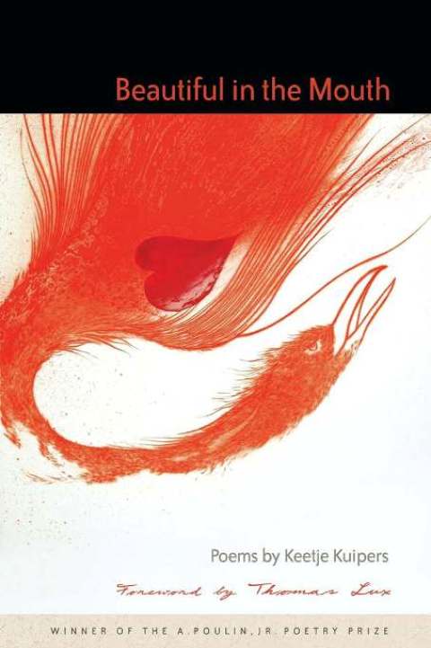 Cover image for book Beautiful in the Mouth