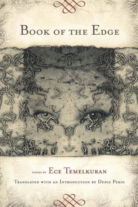 Cover image for book Book of the Edge