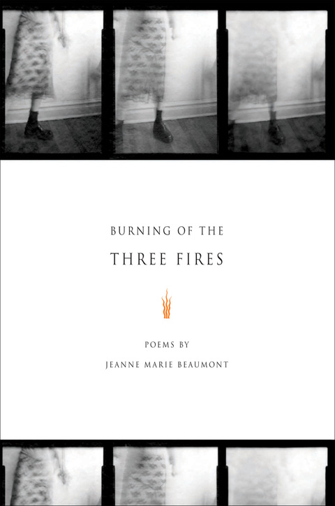 Cover image for book Burning of the Three Fires
