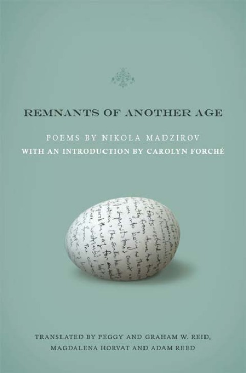 Cover image for book Remnants of Another Age