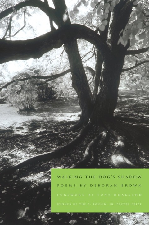Cover image for book Walking the Dog's Shadow