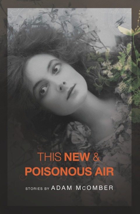 Cover image for book This New & Poisonous Air