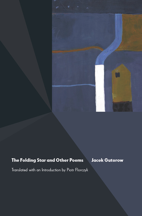 Cover image for book The Folding Star