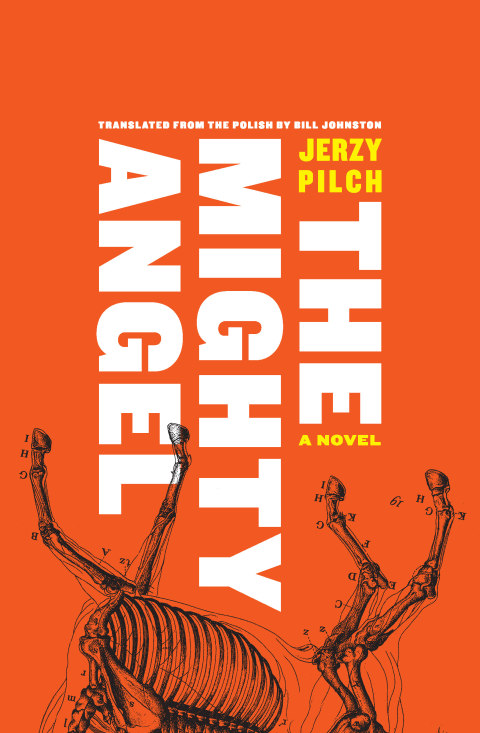 Cover image for book The Mighty Angel