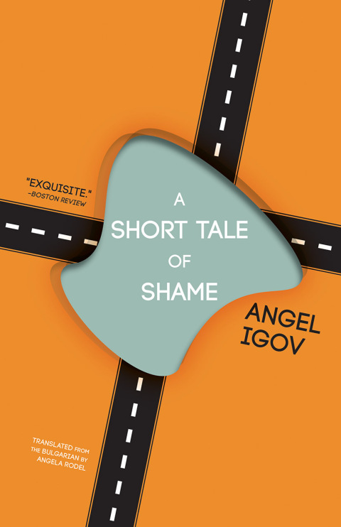 Cover image for book A Short Tale of Shame