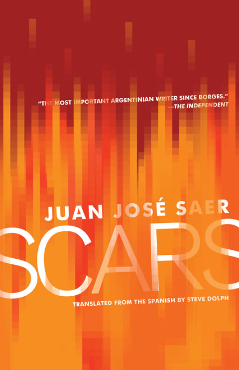 Cover image for book Scars