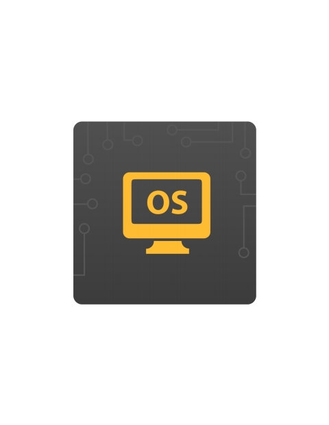 Windows Client Pro Windows 8