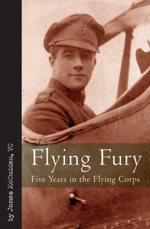 Cover image for book Flying Fury
