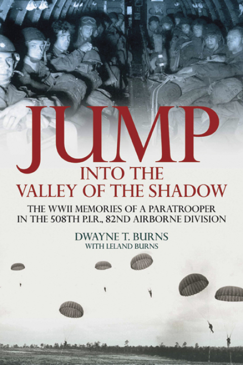 Cover image for book Jump into the Valley of the Shadow