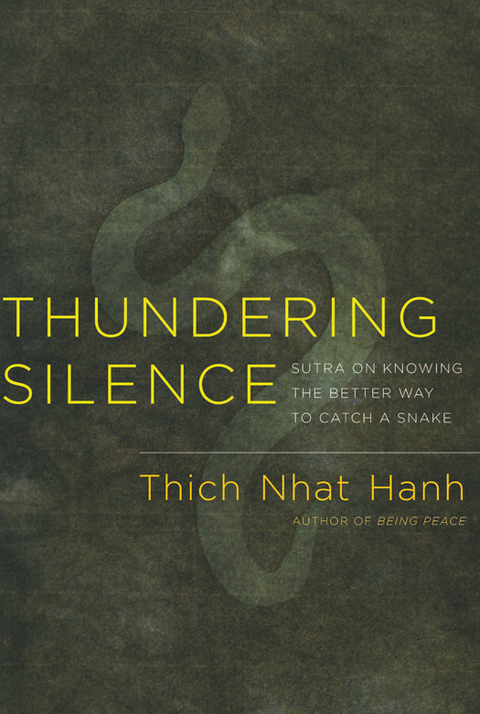 Cover image for book Thundering Silence