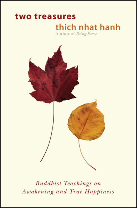 Cover image for book Two Treasures