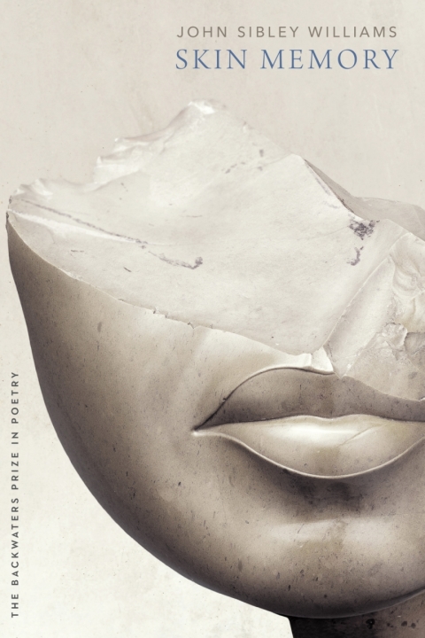 Cover image for book Skin Memory