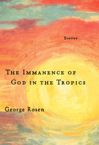 Titelbild: The Immanence of God in the Tropics 9781935248316