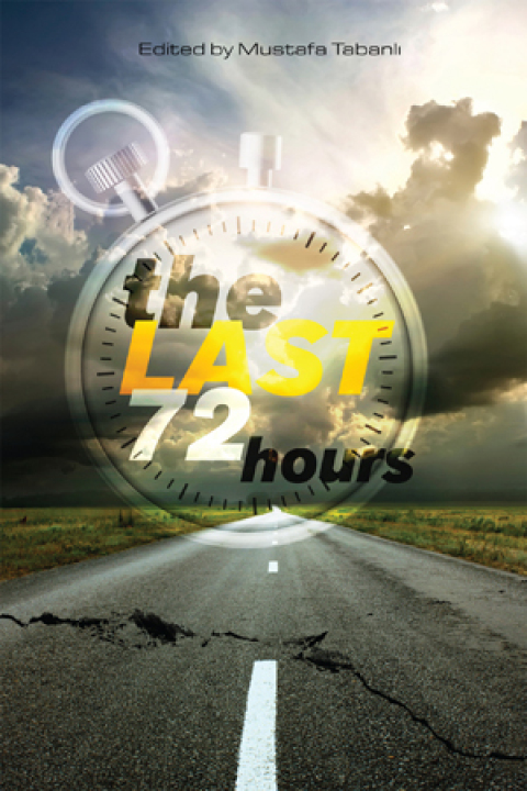 Cover image for book The Last 72