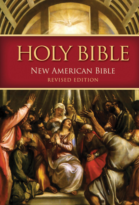 Cover image for book Nabre